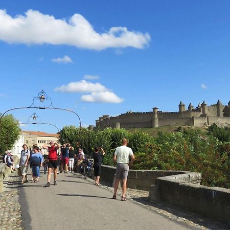 Apartament Tout Confort ! Climatisation, Calme, Piscine, Parking Gratuit, Terrasse, Wifi Carcassonne Zewnętrze zdjęcie