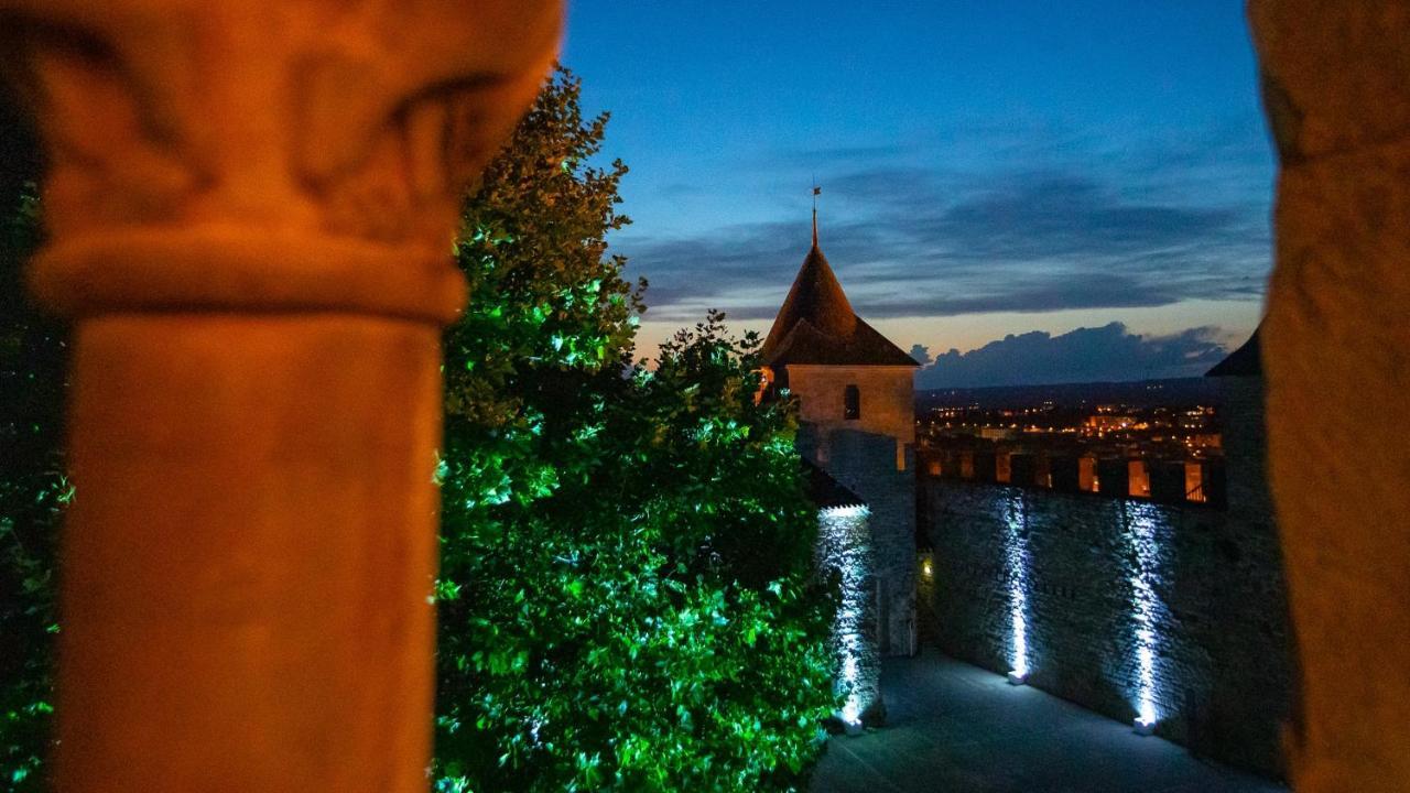 Apartament Tout Confort ! Climatisation, Calme, Piscine, Parking Gratuit, Terrasse, Wifi Carcassonne Zewnętrze zdjęcie