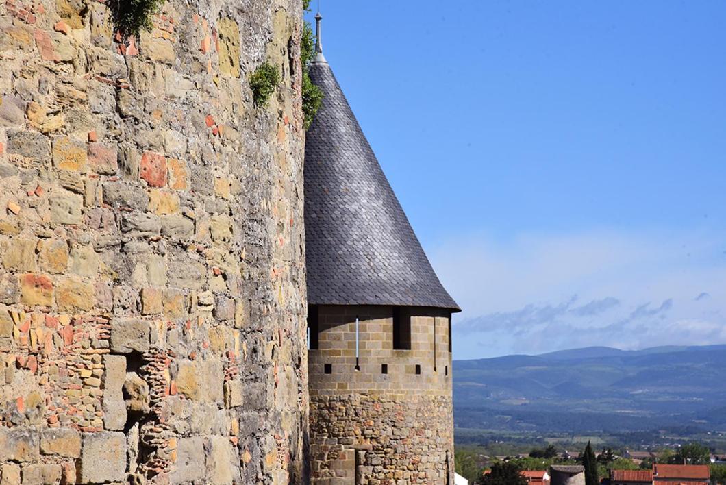 Tout Confort ! Climatisation, Calme, Piscine, Parking Gratuit, Terrasse, Wifi Carcassonne Zewnętrze zdjęcie