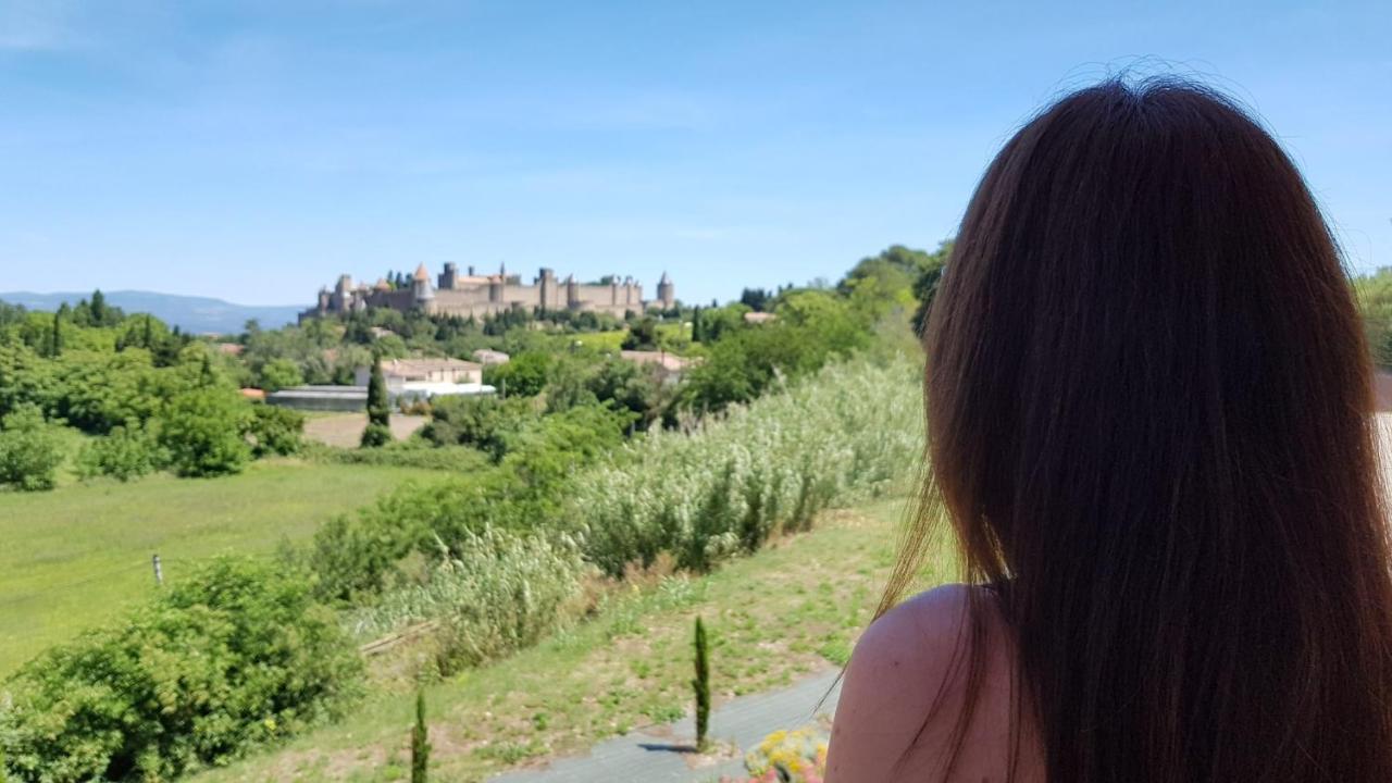 Tout Confort ! Climatisation, Calme, Piscine, Parking Gratuit, Terrasse, Wifi Carcassonne Zewnętrze zdjęcie