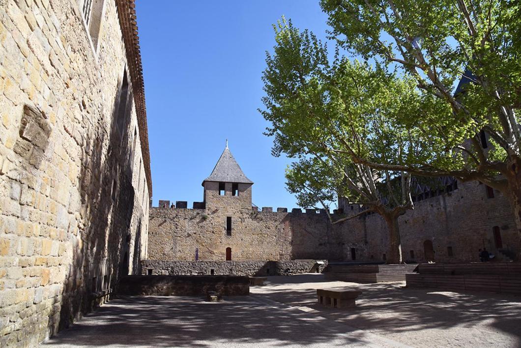 Apartament Tout Confort ! Climatisation, Calme, Piscine, Parking Gratuit, Terrasse, Wifi Carcassonne Zewnętrze zdjęcie